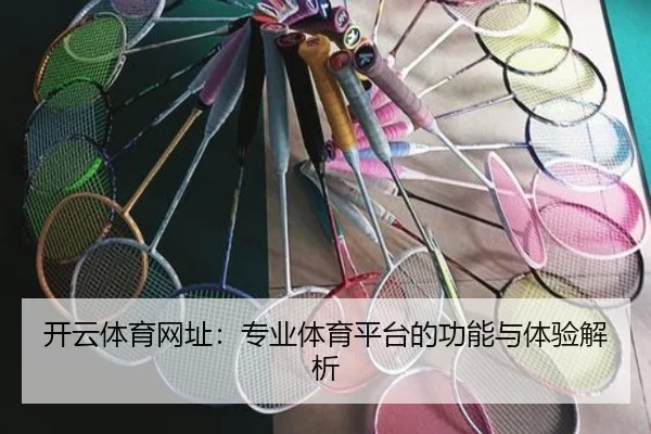 开云体育网址：专业体育平台的功能与体验解析
